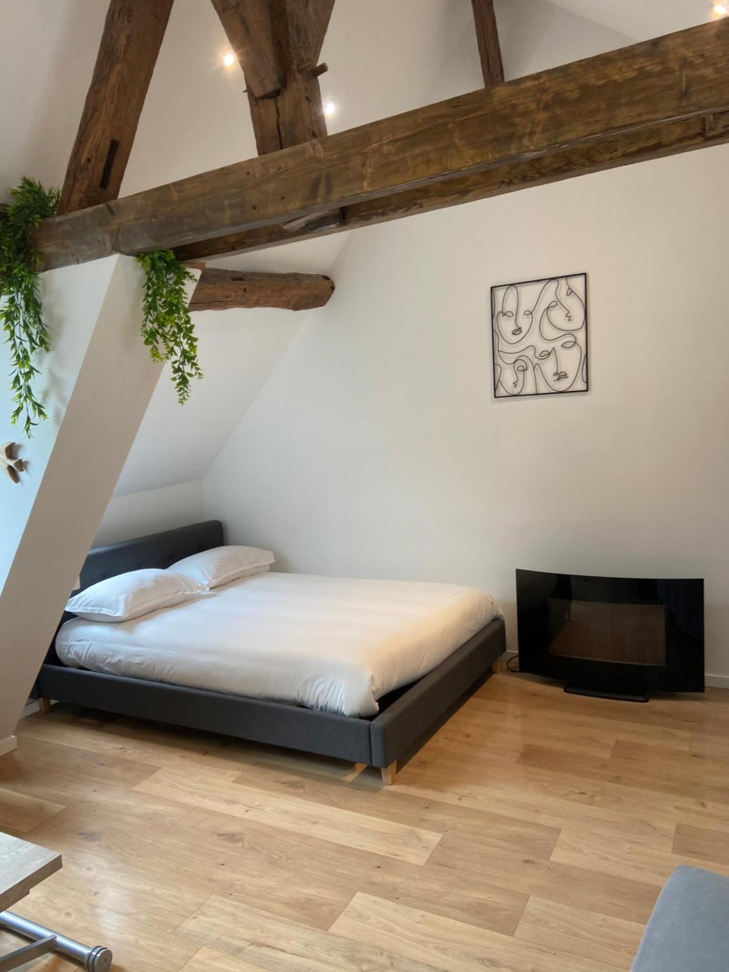 Ferienwohnung La Champenoise La Tannerie Troyes Exterior foto
