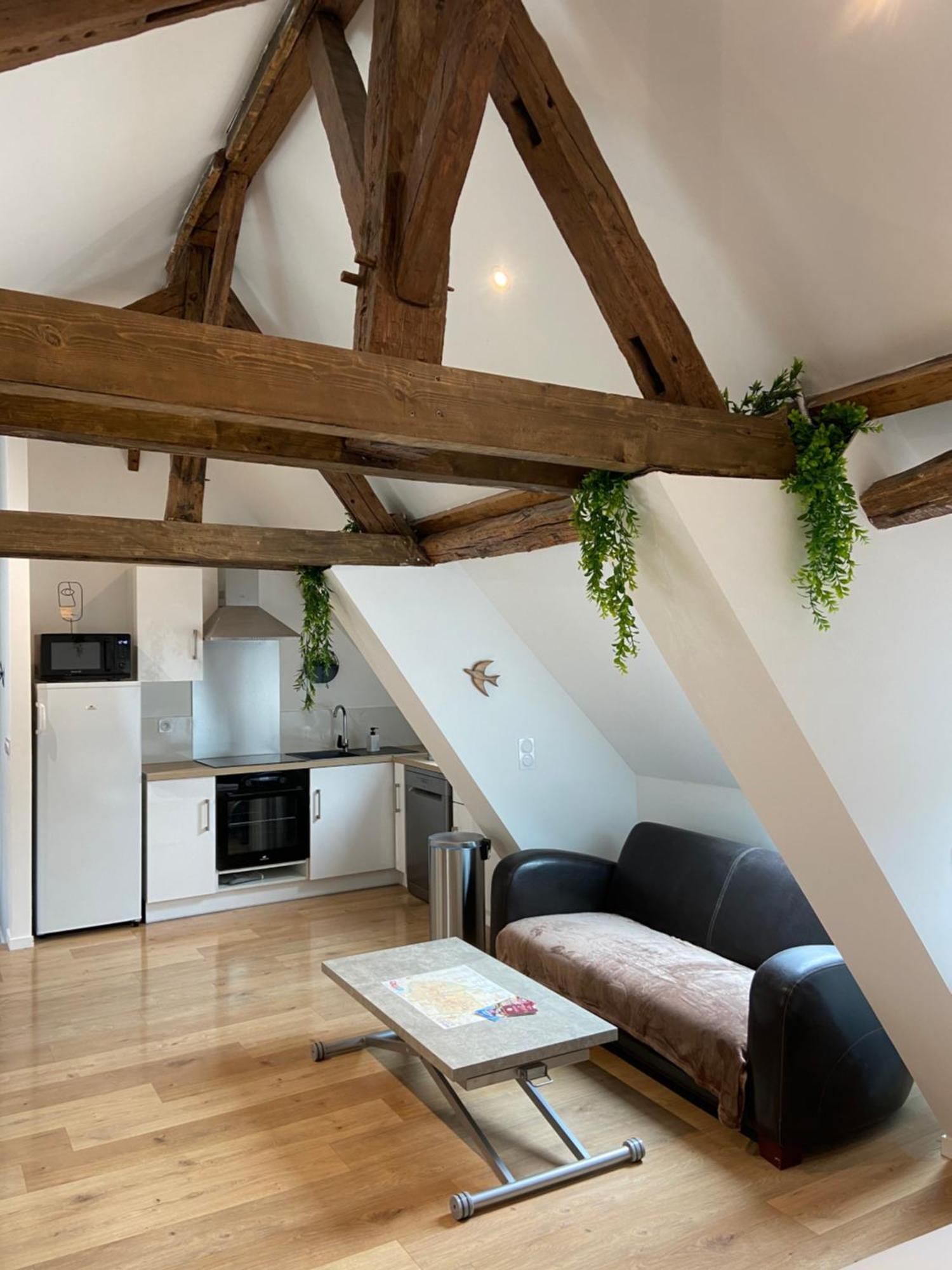 Ferienwohnung La Champenoise La Tannerie Troyes Exterior foto