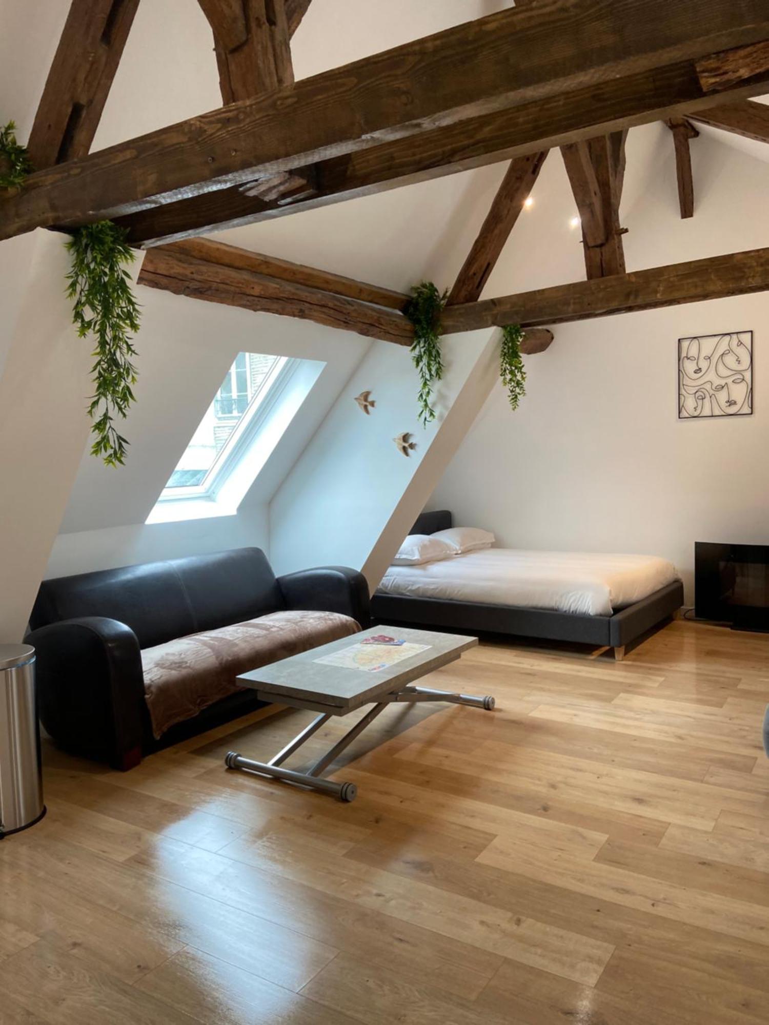 Ferienwohnung La Champenoise La Tannerie Troyes Exterior foto