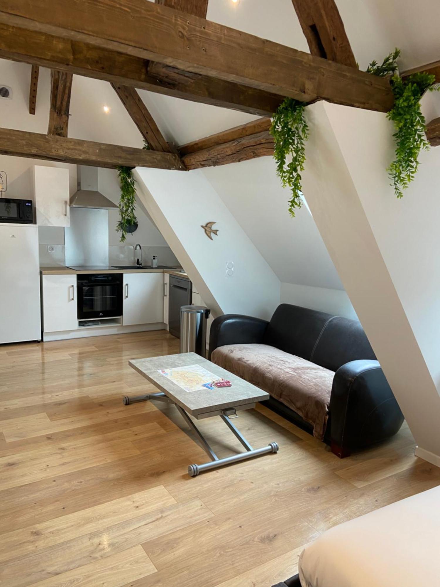 Ferienwohnung La Champenoise La Tannerie Troyes Exterior foto