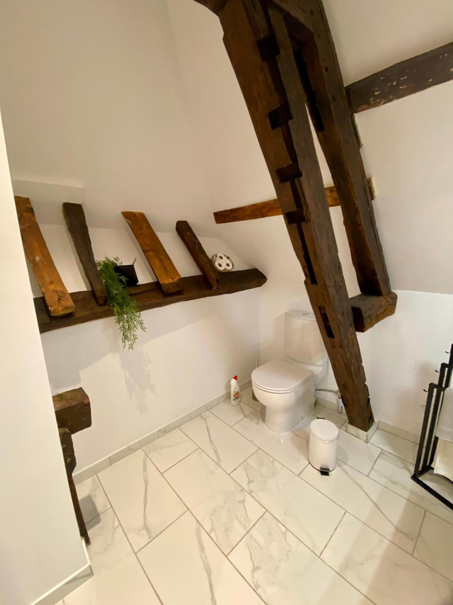 Ferienwohnung La Champenoise La Tannerie Troyes Exterior foto