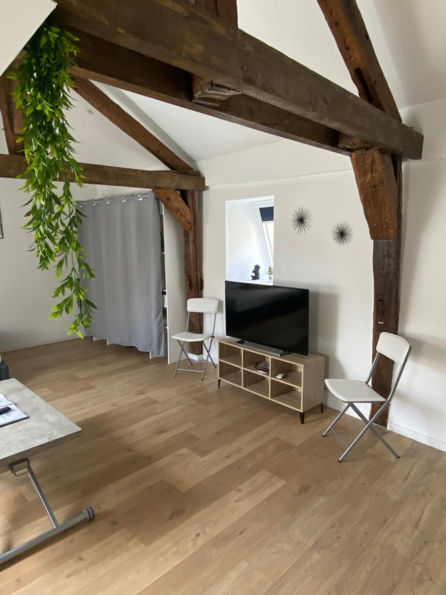 Ferienwohnung La Champenoise La Tannerie Troyes Exterior foto