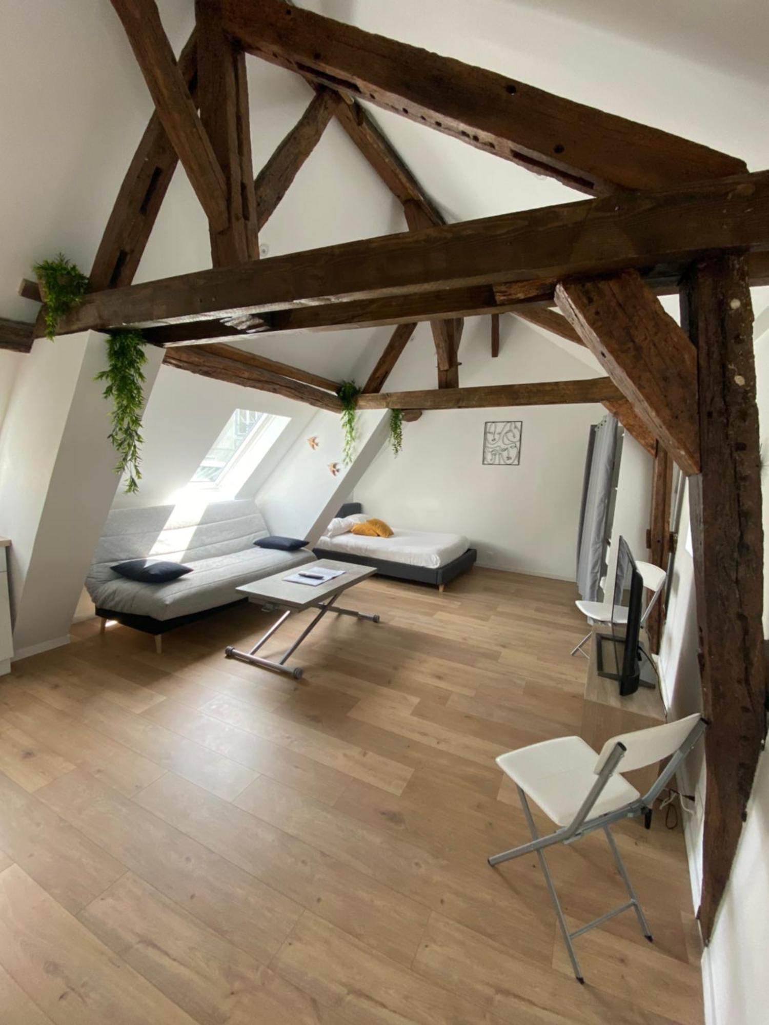 Ferienwohnung La Champenoise La Tannerie Troyes Exterior foto
