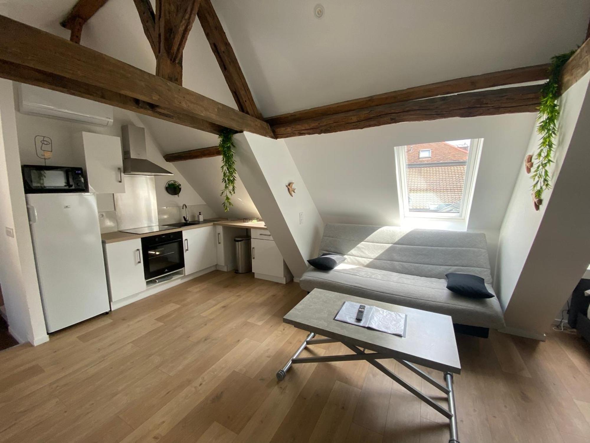 Ferienwohnung La Champenoise La Tannerie Troyes Exterior foto